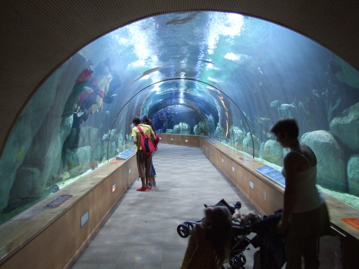 VALENCIA AQUARIUM valencia aquarium: